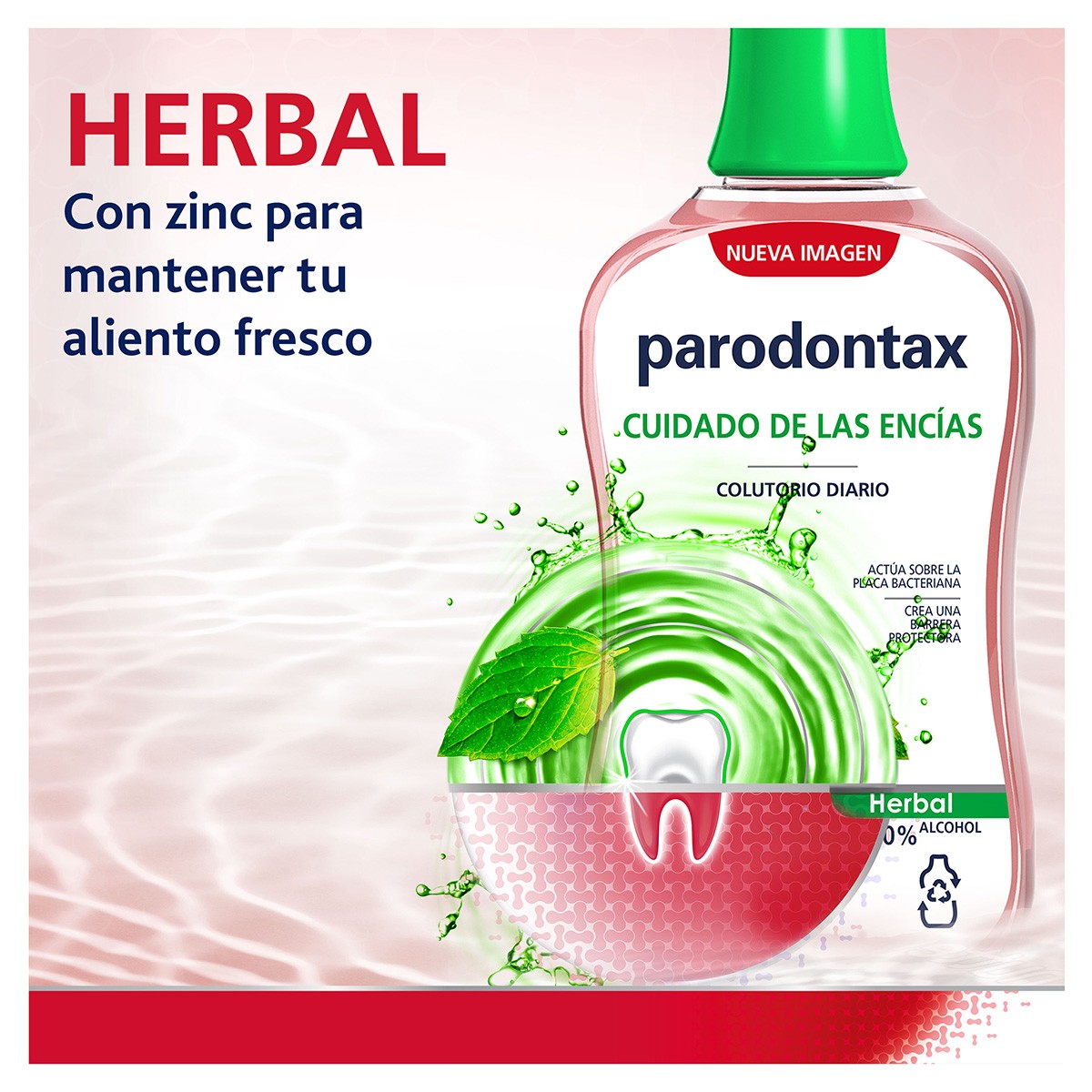 Parodontax Herbal colutorio protección diaria 500ml